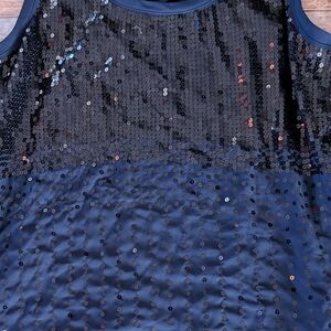 The Limited Midnight Blue Top